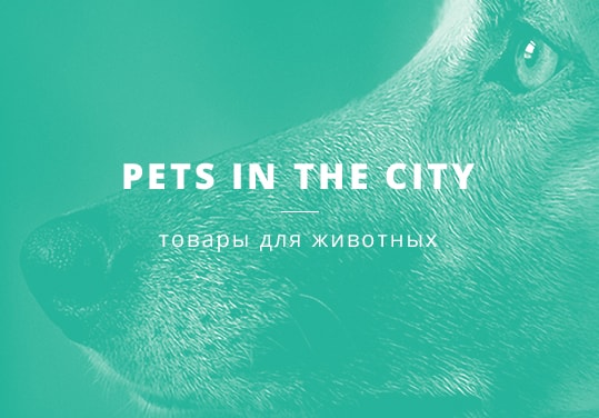 pets city